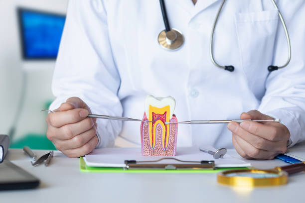 Best Urgent Dental Care for Toothache in Byrdstown, TN